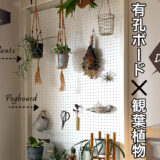 有孔ボードで壁に観葉植物を飾るコーナーをDIY