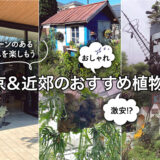 グリーンのある暮らしを楽しもう！東京＆近郊のおすすめ植物店5選