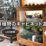 観葉植物のためにキャビネット温室を自作！作り方と使ったアイテムをご紹介