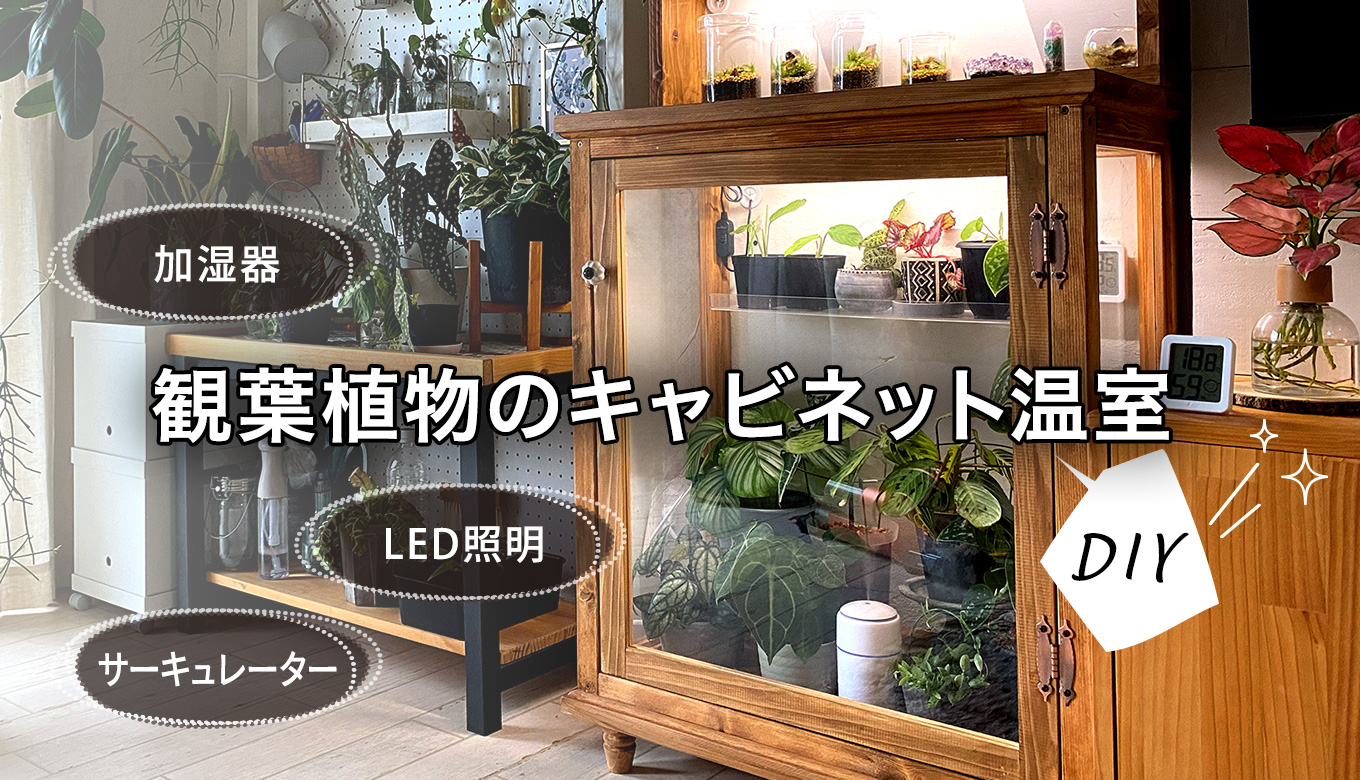 観葉植物のためにキャビネット温室を自作！作り方と使ったアイテムをご